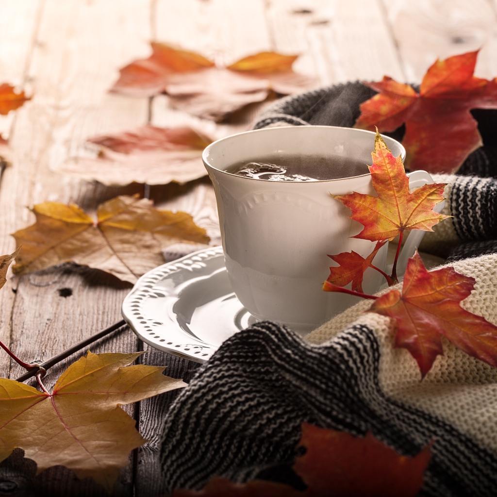 Чашка чая на столе с осенними листьями и пледом