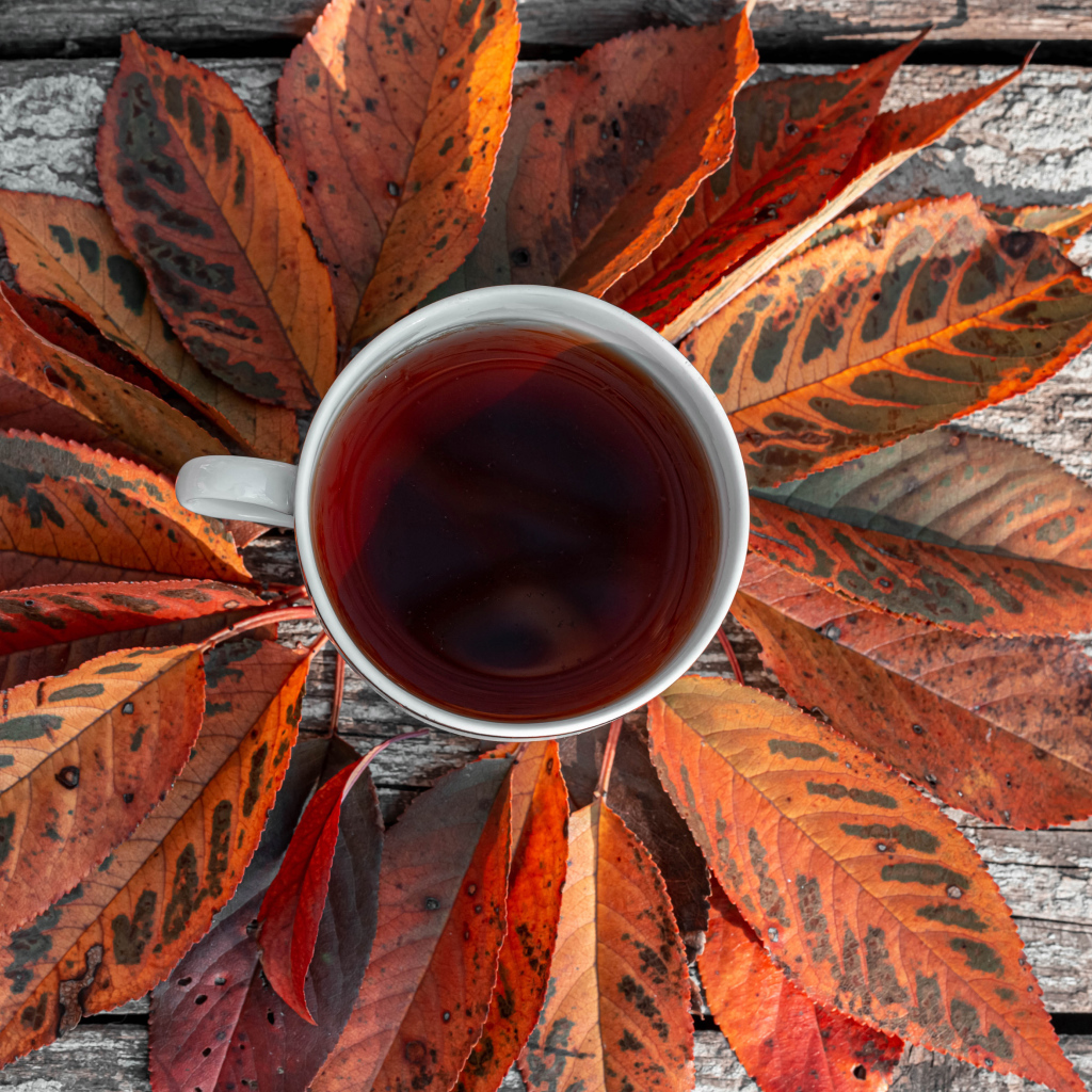 Чашка чая на столе с желтыми листьями