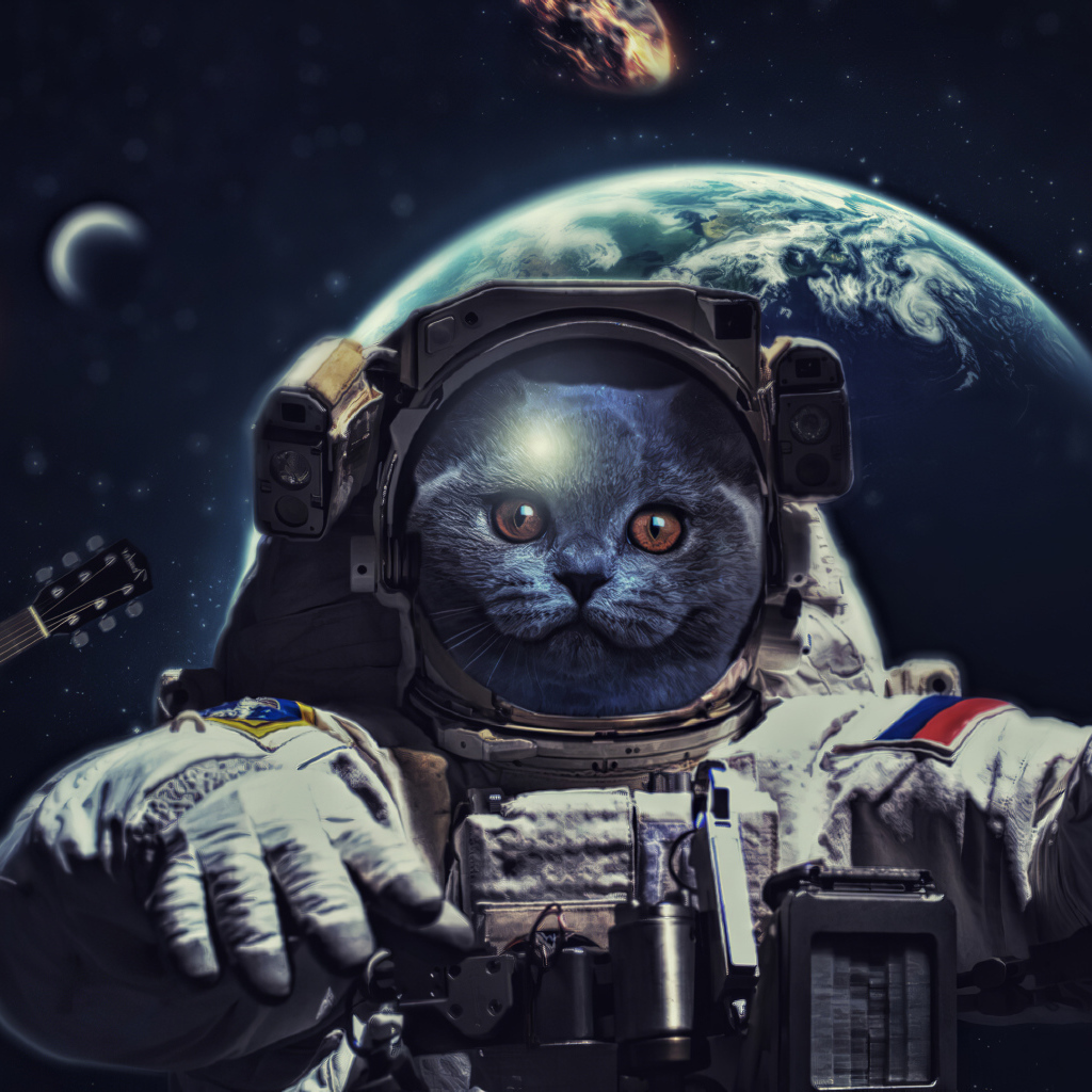 Кот в костюме космонавта в космосе 