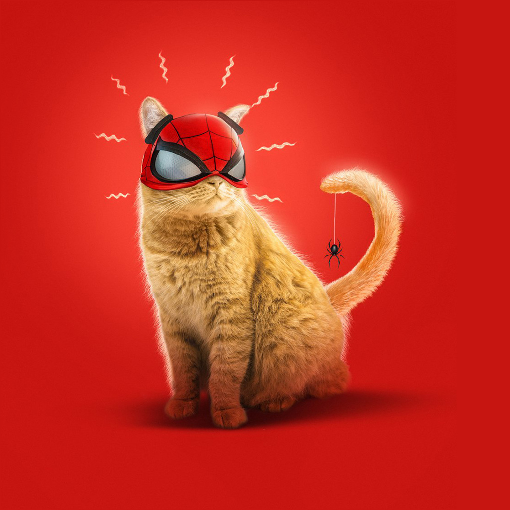 Рыжий кот в маске спайдермена на красном фоне