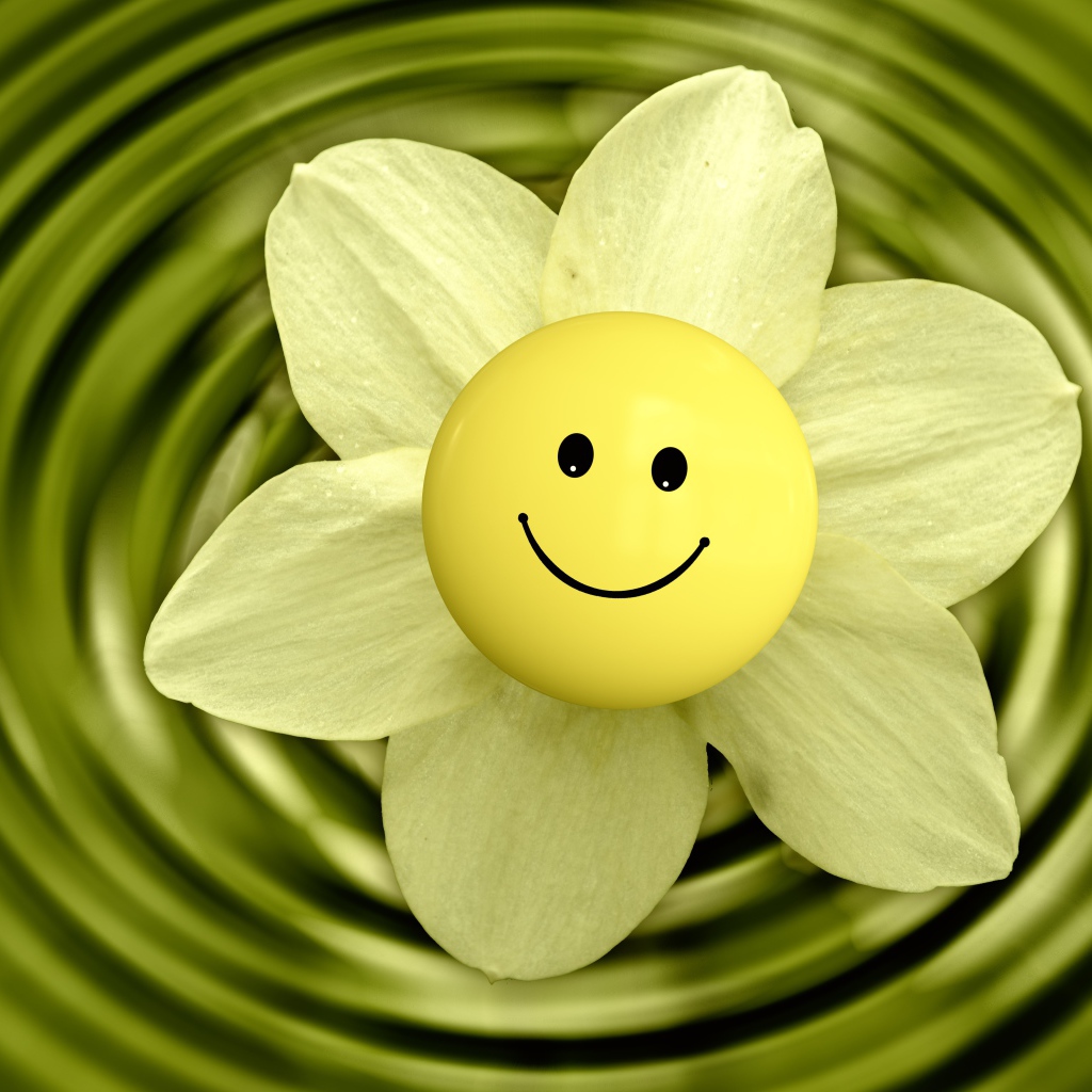 Narcissus flower with smiley face in water