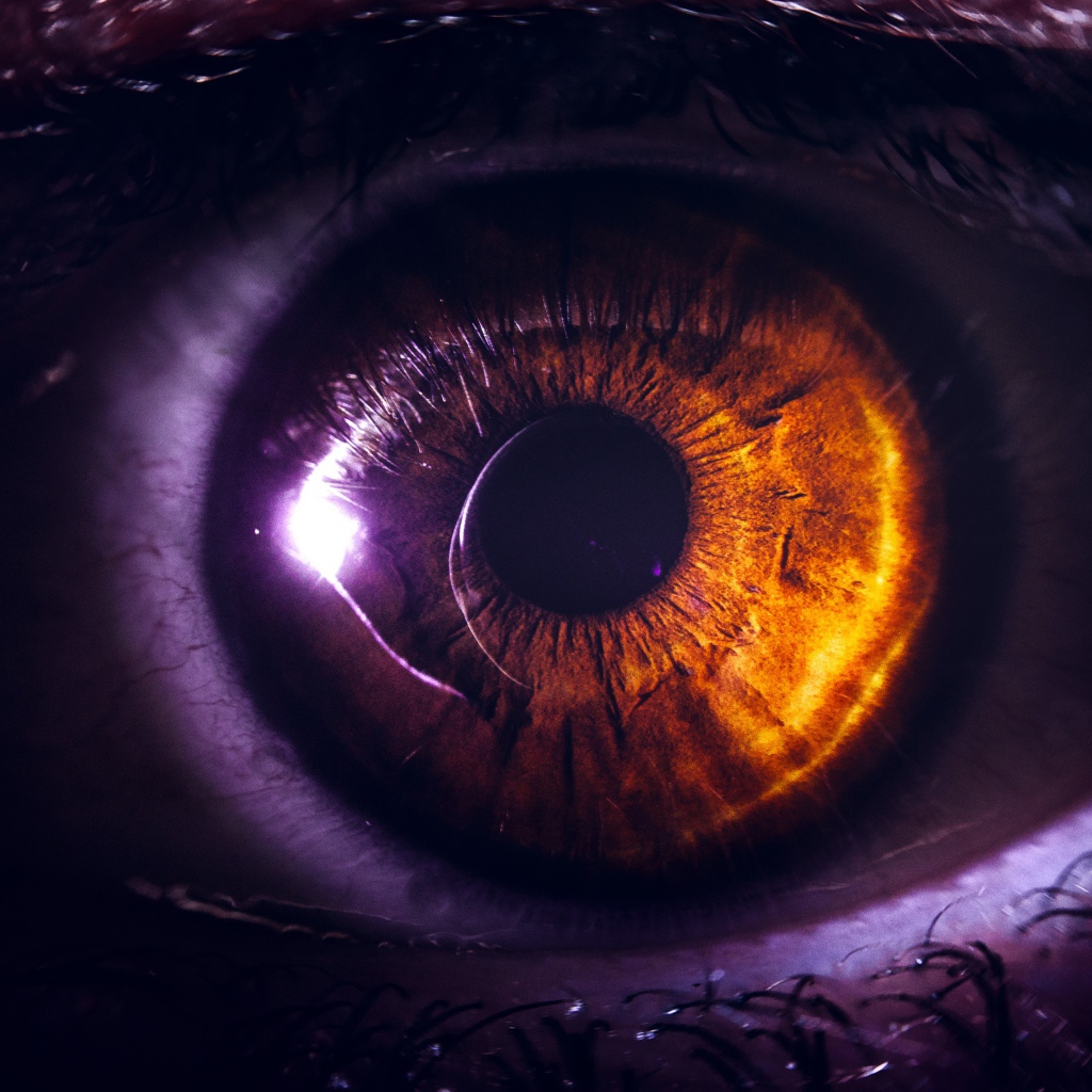 Карий глаз девушки крупным планом