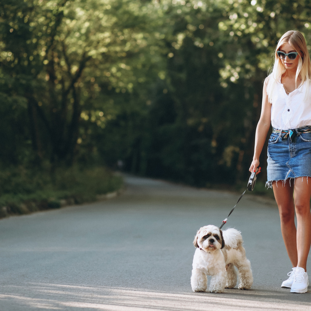Красивая блондинка идет по дороге с собакой