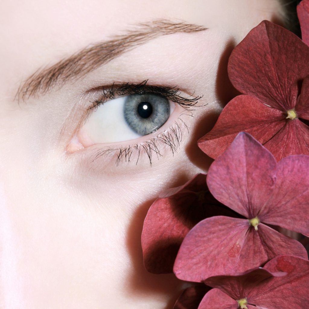 Глаз красивой девушки с красными цветами
