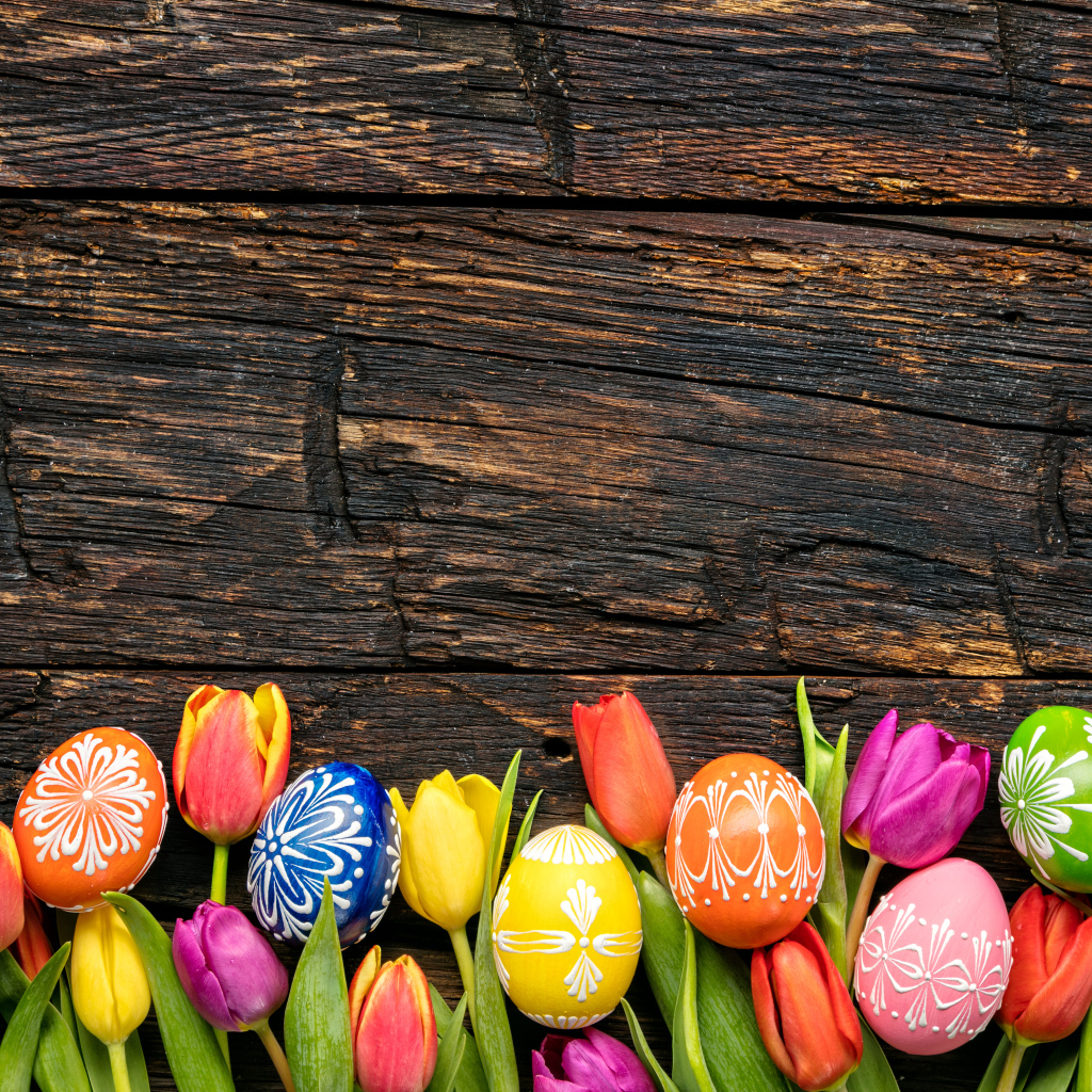 Colorful eggs and tulip flowers, template for Easter cards