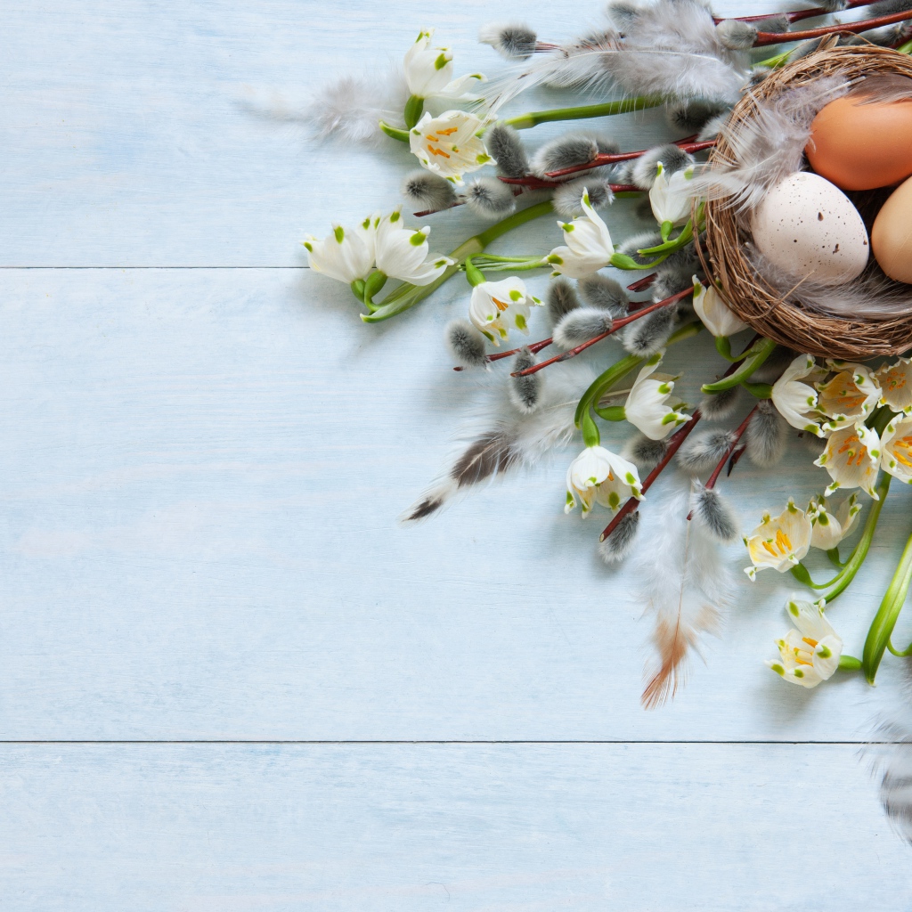 Яйца в гнезде на столе с ветками вербы на Пасху