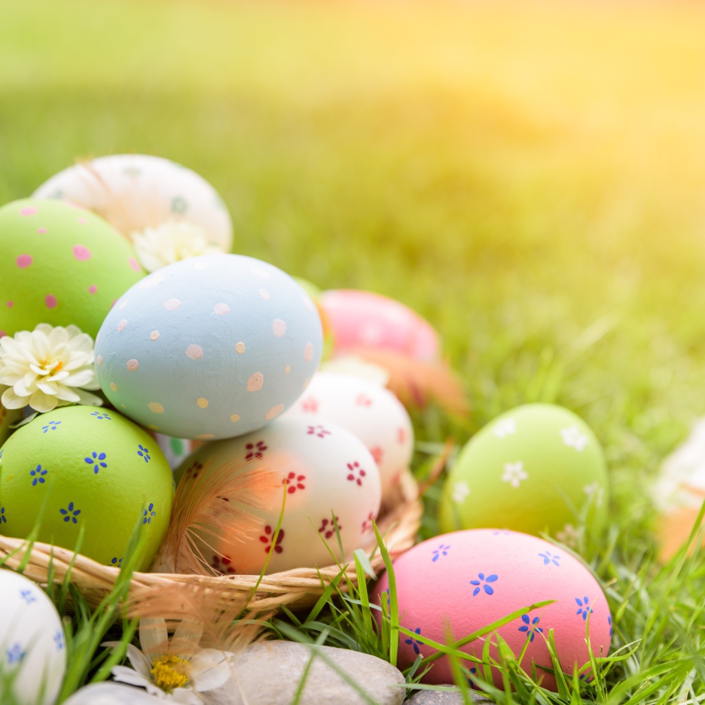 Разноцветные пасхальные яйца в корзинке на зеленой траве
