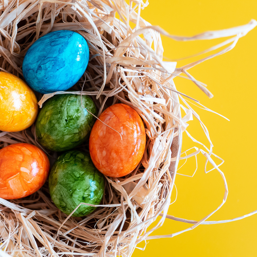 Разноцветные крашеные яйца в гнезде на Светлый праздник Пасха