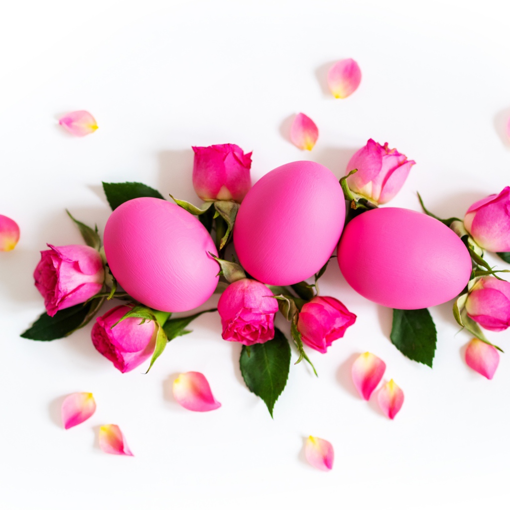 Розовые крашеные яйца с розами на белом фоне на Пасху