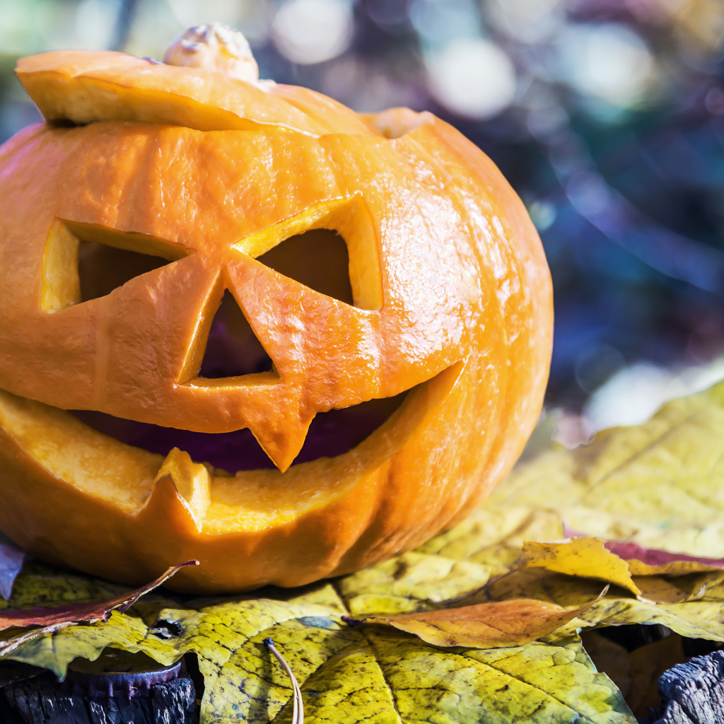 Тыква на Хэллоуин стоит на листке