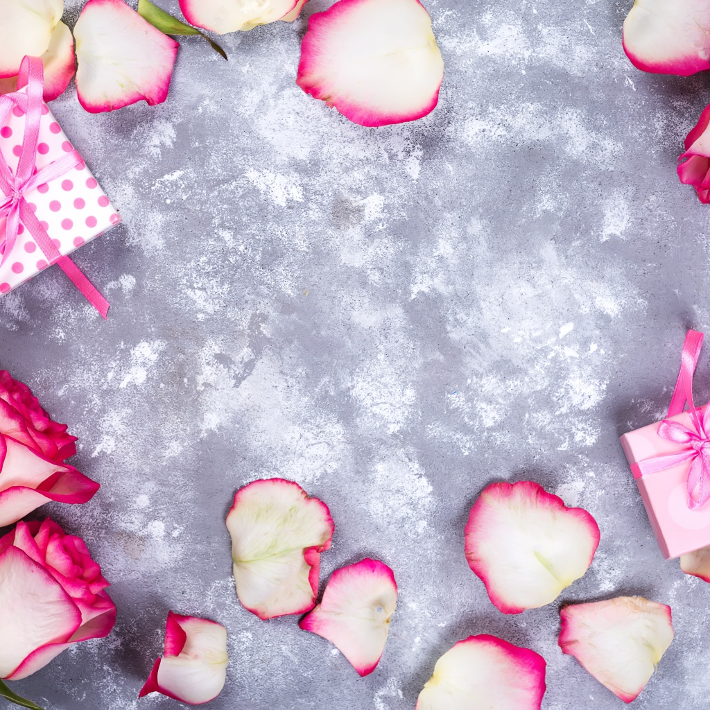 Красивые розовые розы с лепестками и подарками