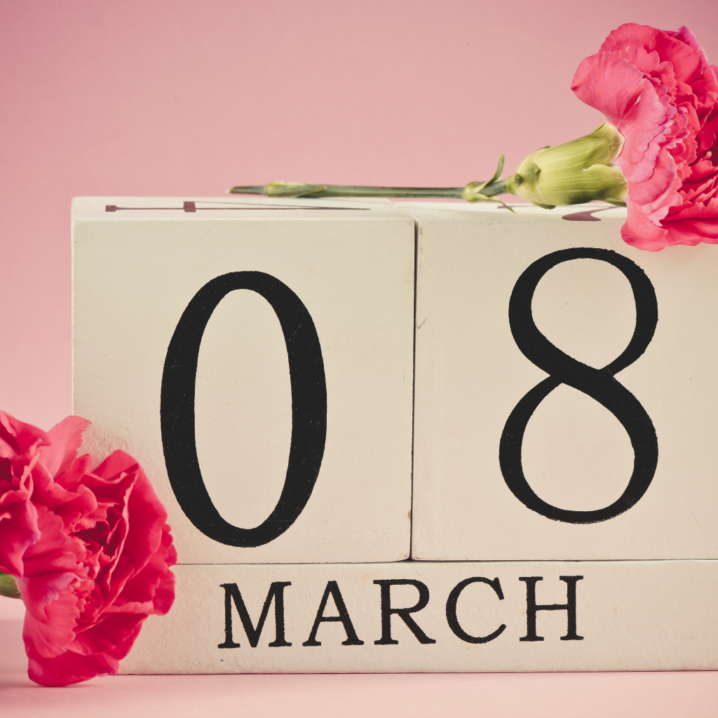 Розовые гвоздики в подарок на 8 марта