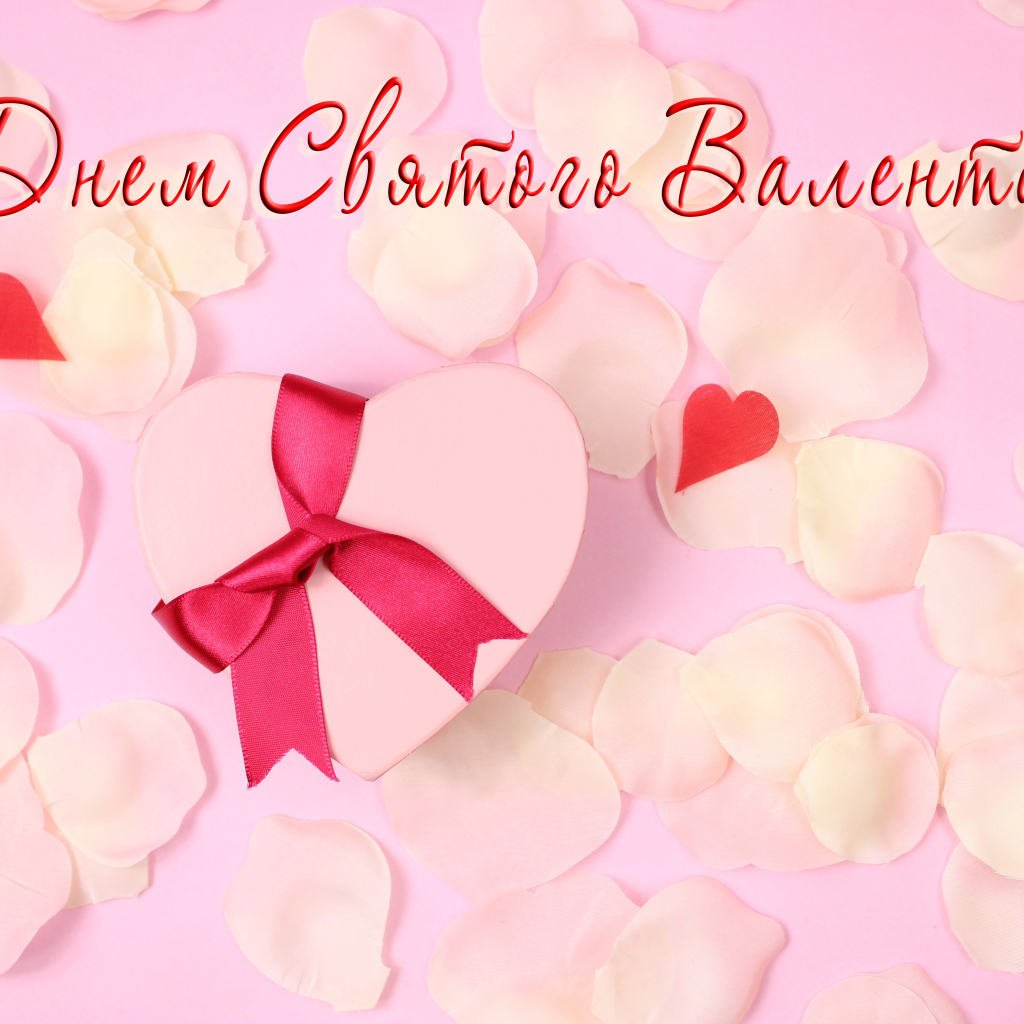 Подарок и лепестки розовой розы открытка С Днем Святого Валентина