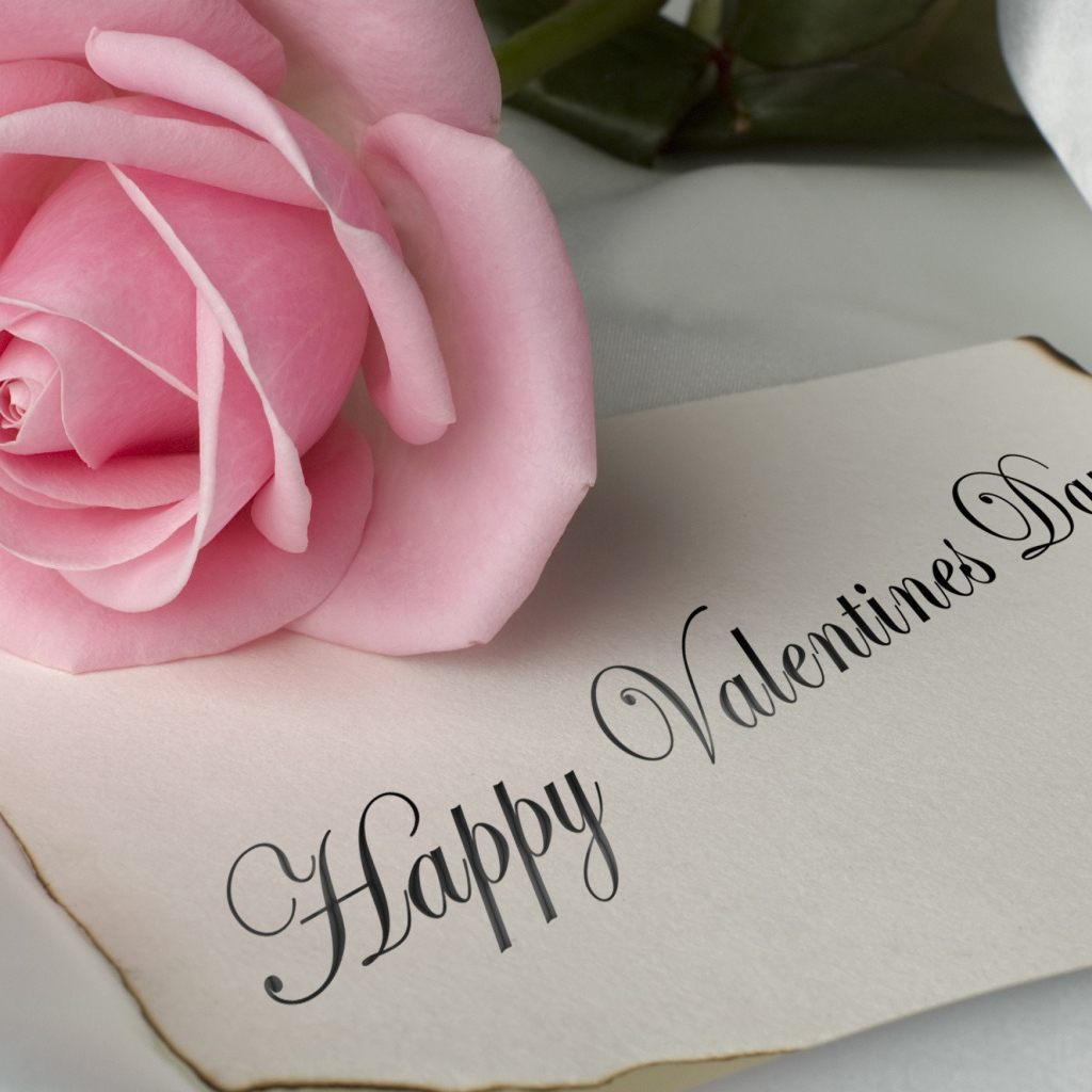 Розовая роза и открытка на День Святого Валентина 