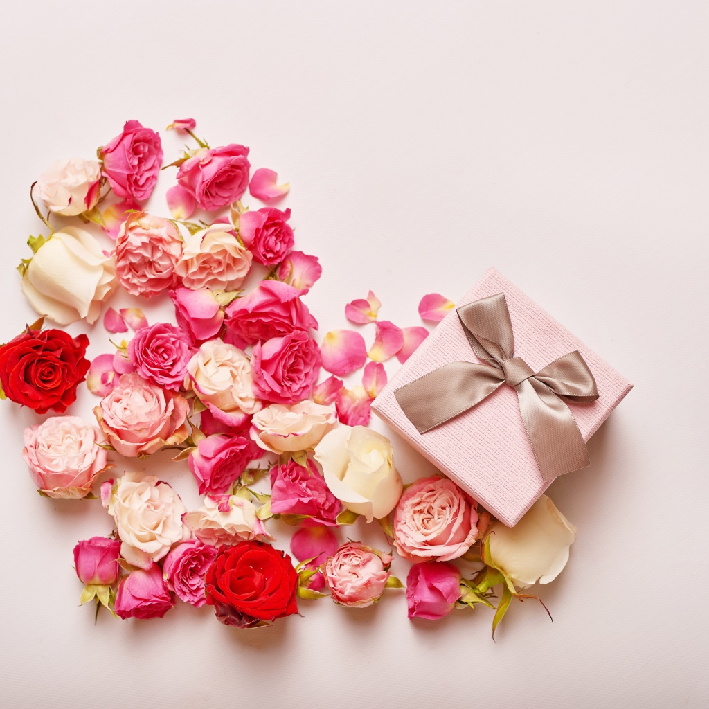 Сердце из цветов розы на розовом фоне с подарком