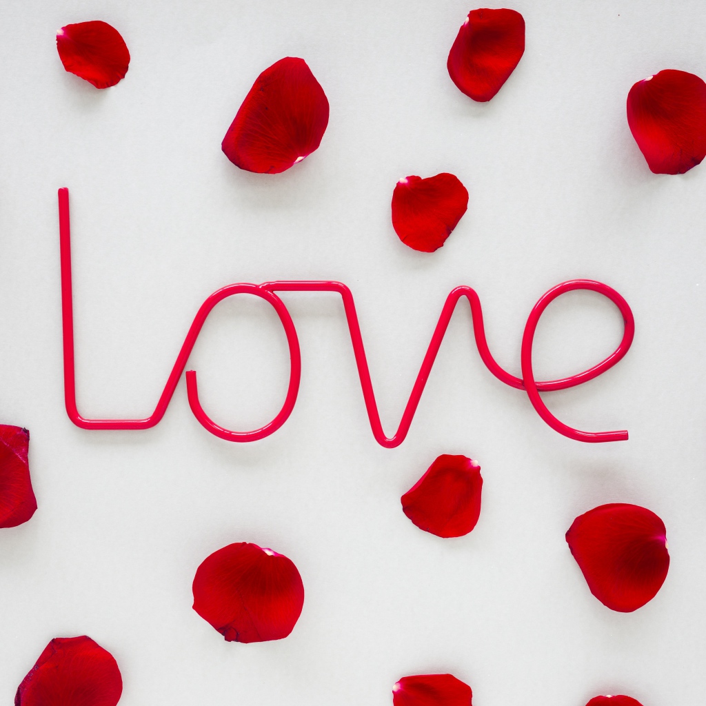 Розовая надпись Love на сером фоне с лепестками розы 