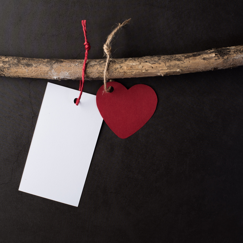 Красное сердечко и белый лист бумаги на ветке 