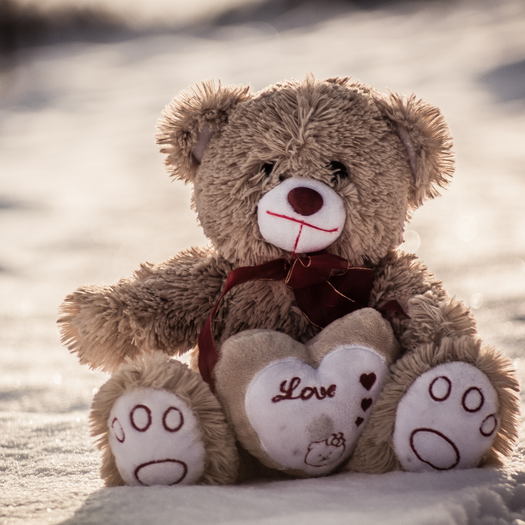 Медвежонок Тедди сидит на песке