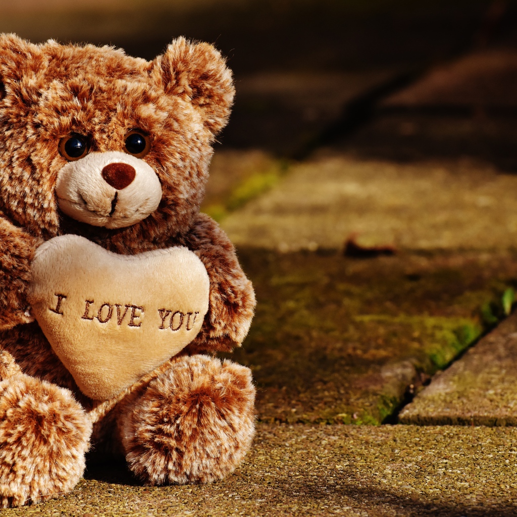 Игрушечный медведь с сердцем сидит на дороге 