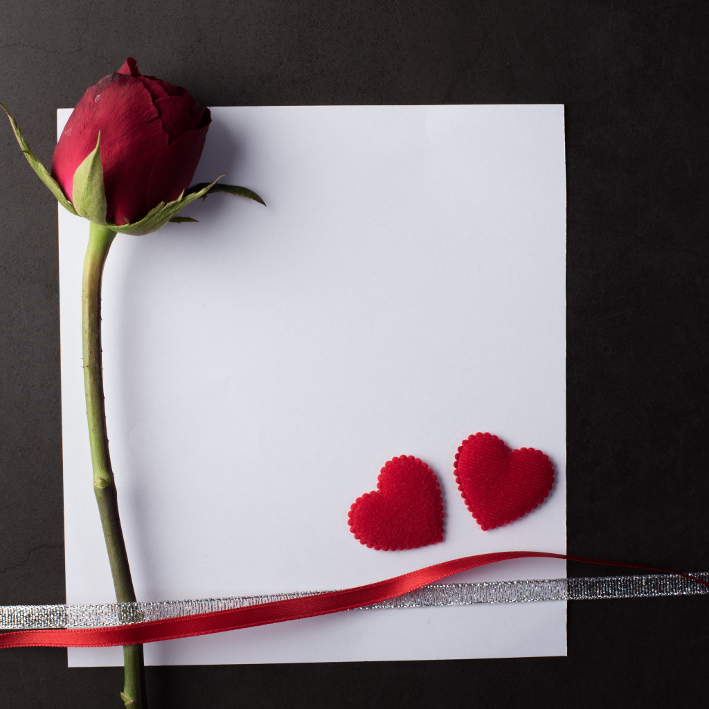 Белый лист бумаги, роза и ленточки на сером фоне