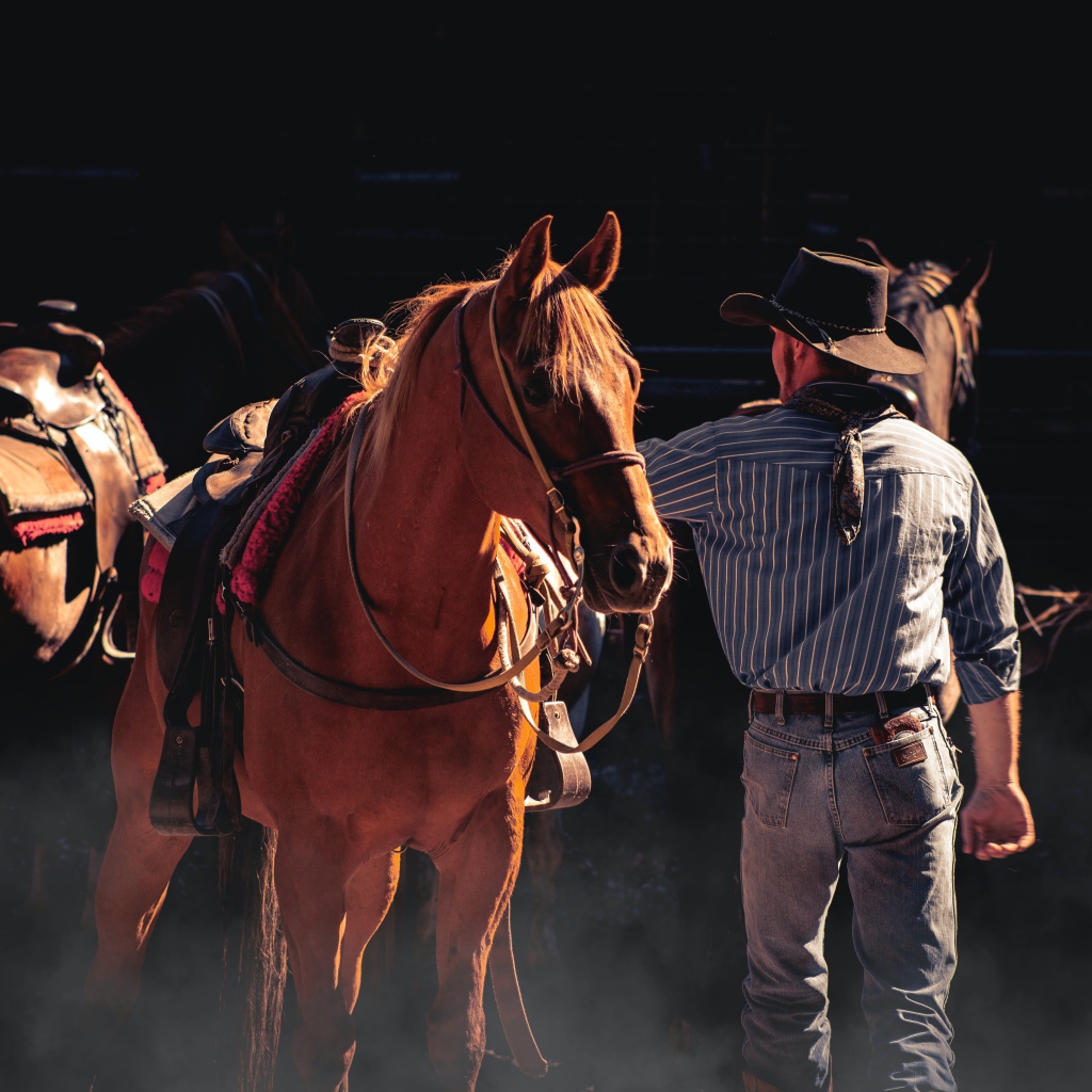 Мужчина ковбой с коричневой лошадью 