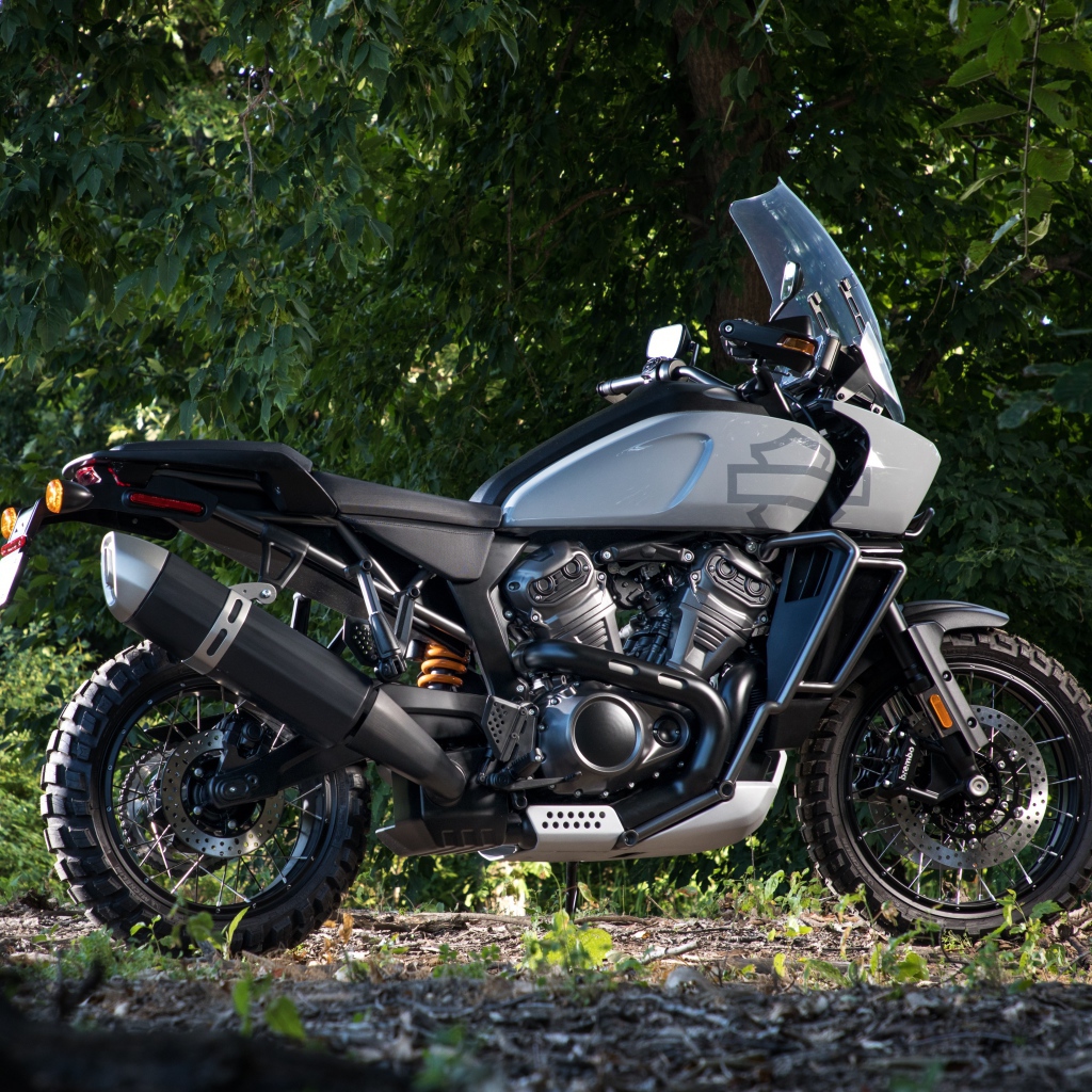 Мотоцикл Harley-Davidson в парке 