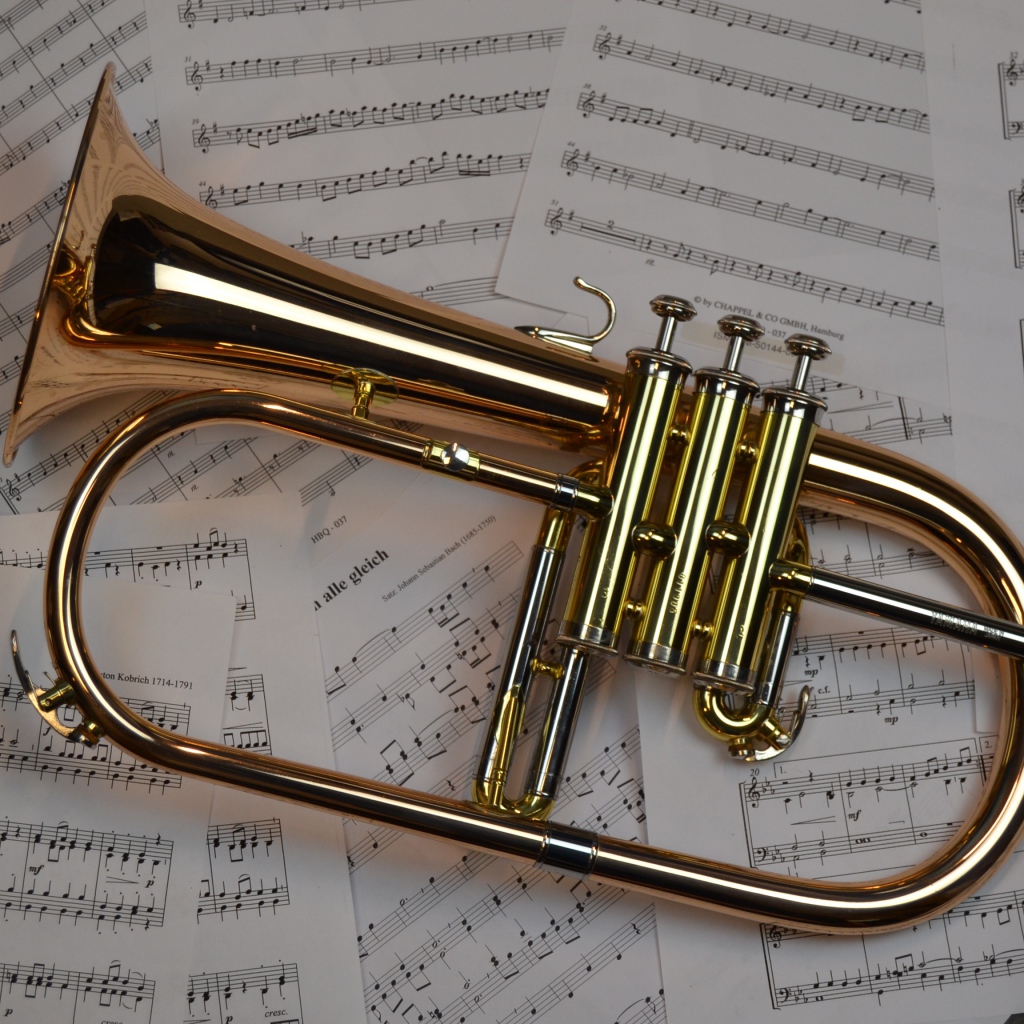 Музыкальный инструмент труба лежит на нотах 
