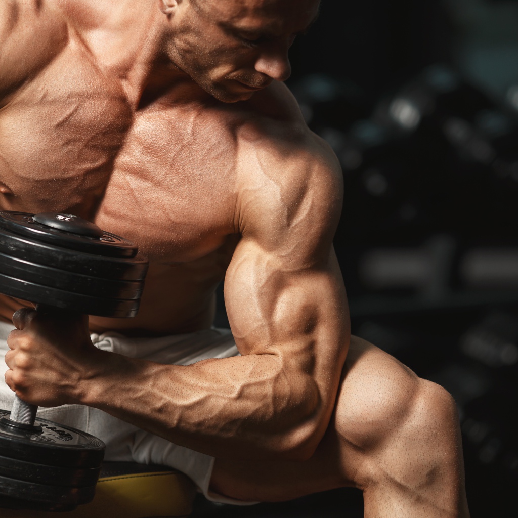Сильный мужчина качает мускулы гантелей 
