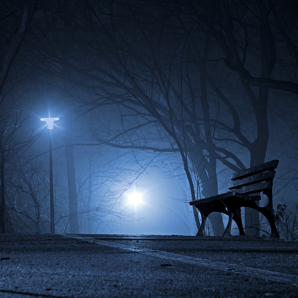 Лавочка в холодном ночном парке 