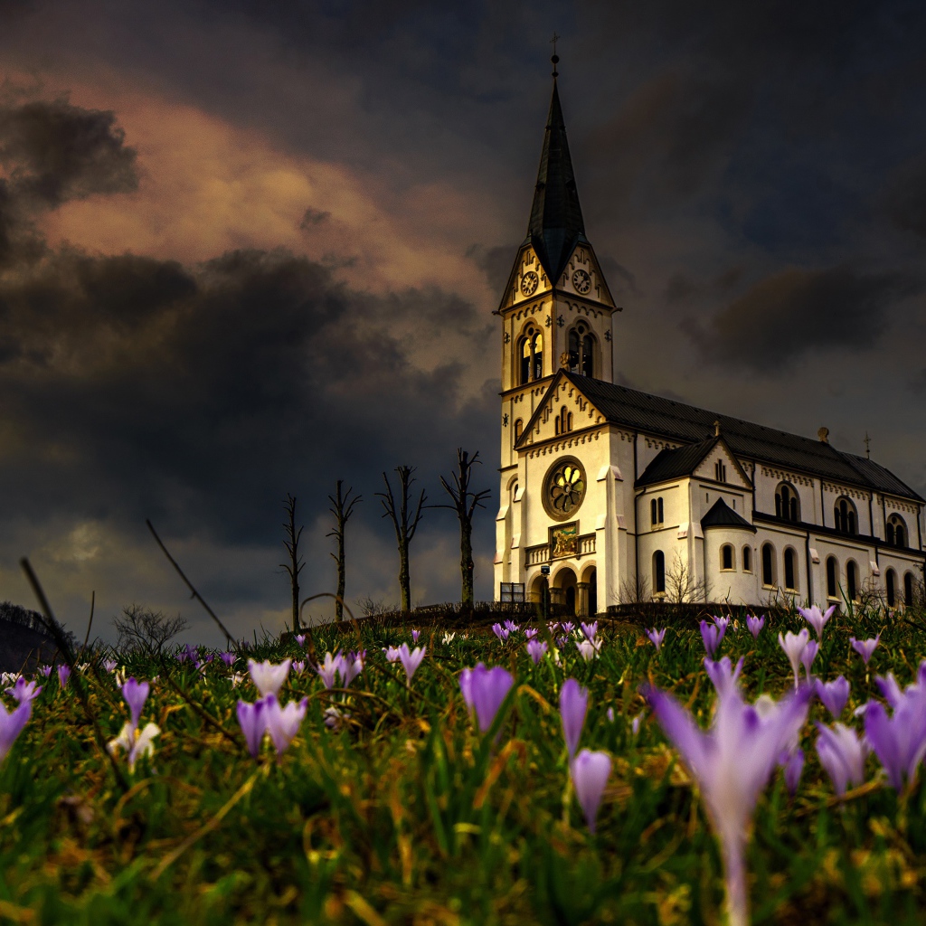 Старая часовня стоит на холме с цветами 