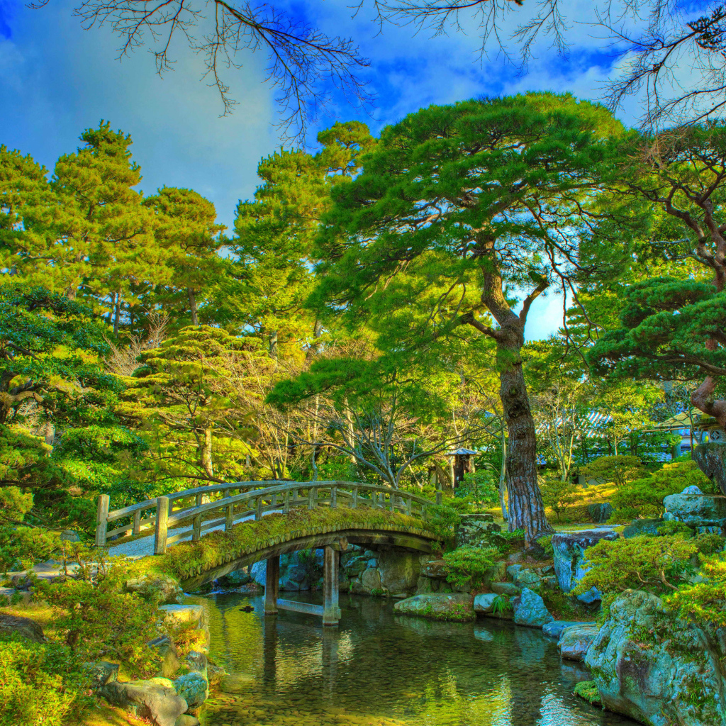 Красивые зеленые деревья в парке у реки