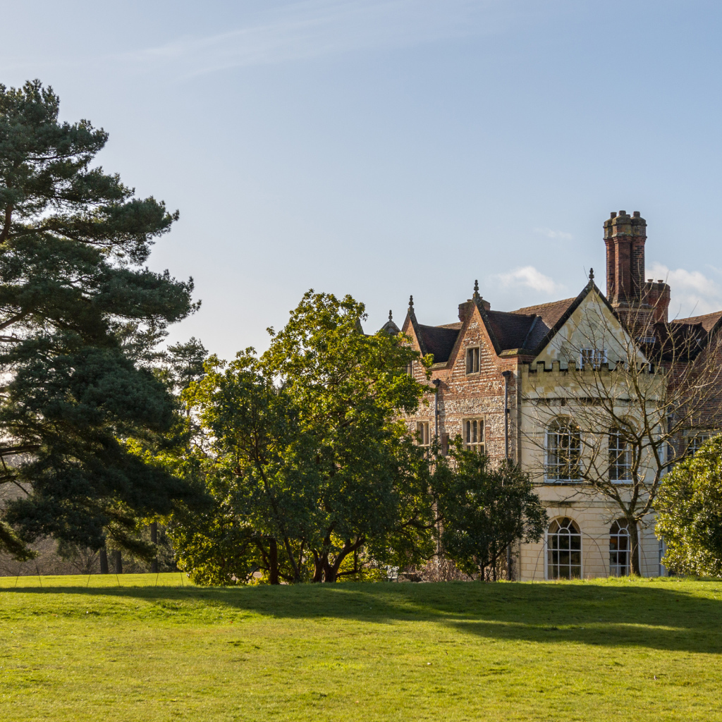 Красивый дом с деревьями и зеленым газоном