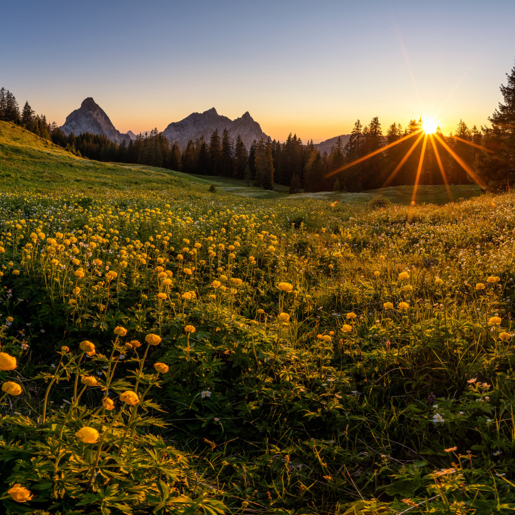 Красивый горный пейзаж солнечным днем