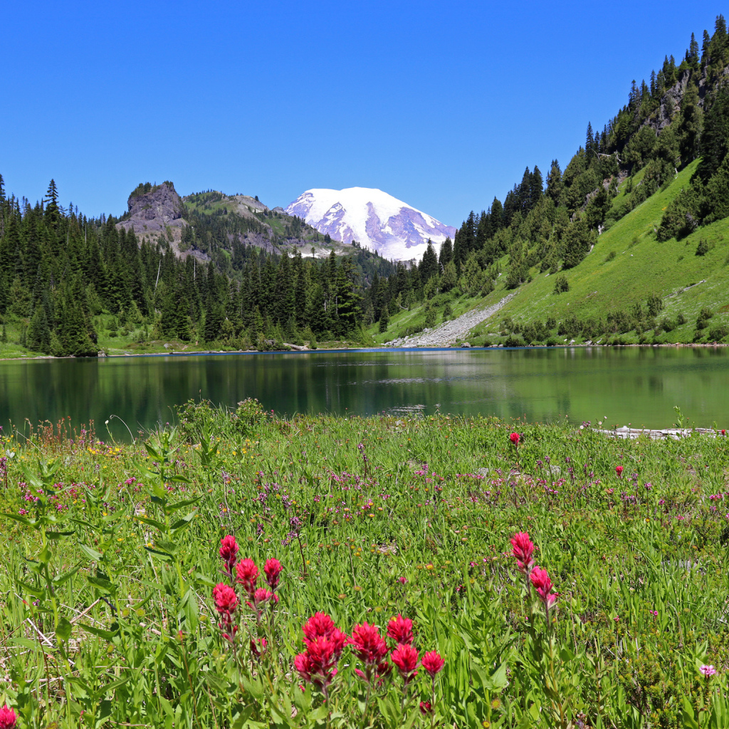 Красивый живописный пейзаж у горного озера 
