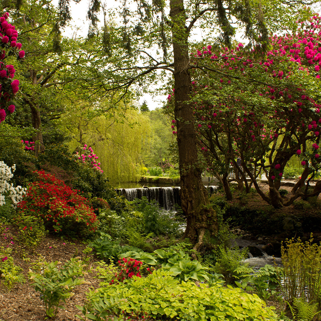 Красивый живописный парк с цветущими кустами