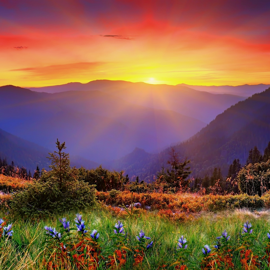 Красивый вид на восход солнца над горами