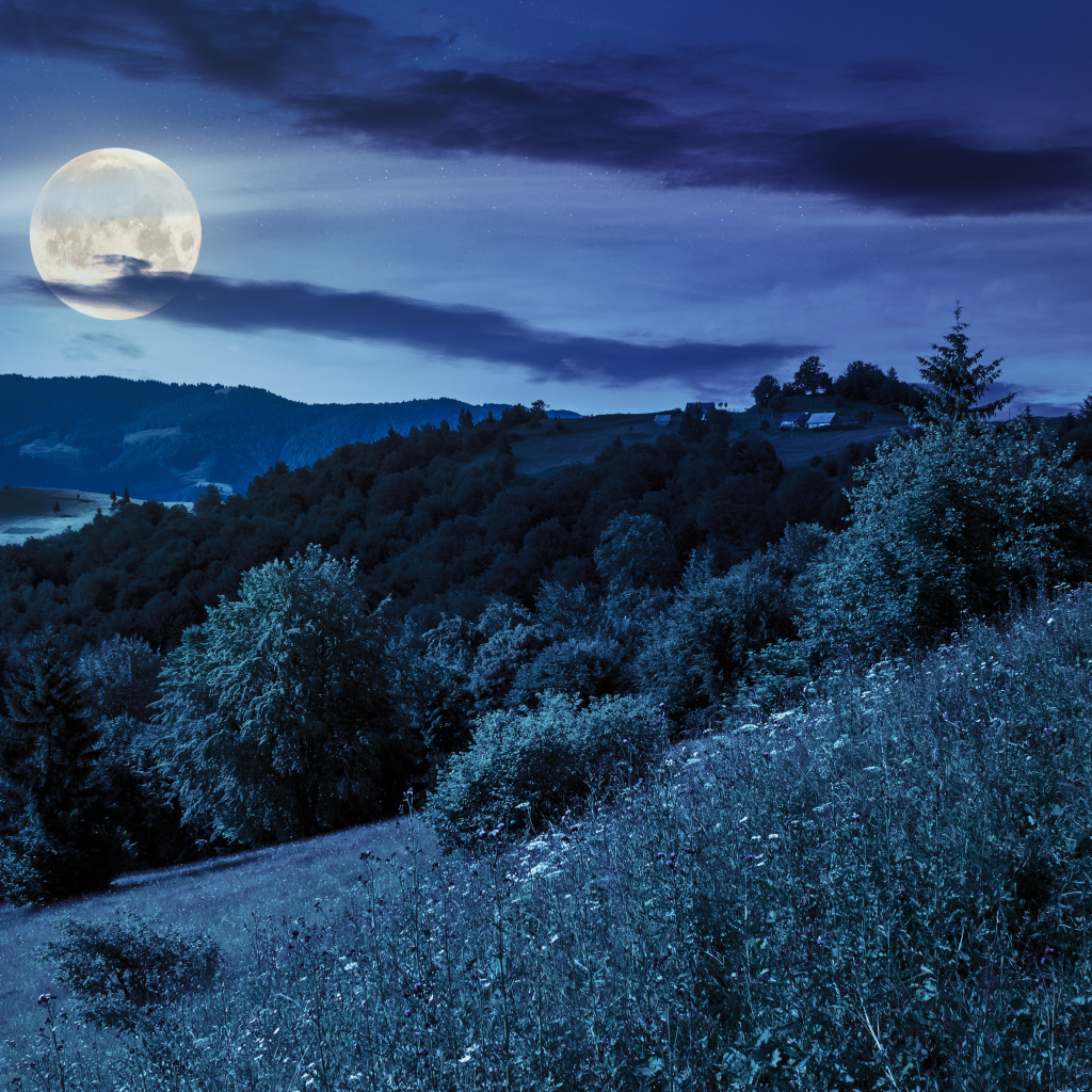 Большая луна в ночном небе над  холмами