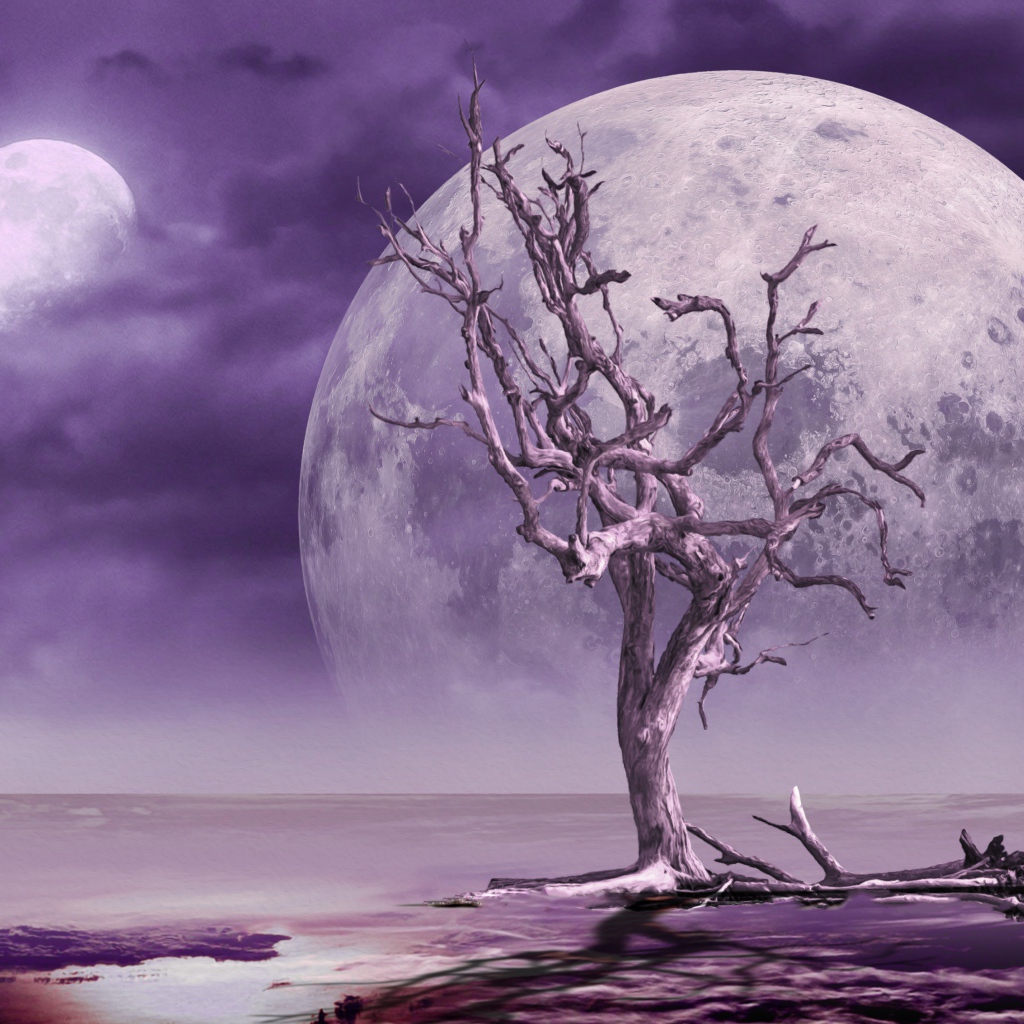 Большая луна в небе у сухого дерева