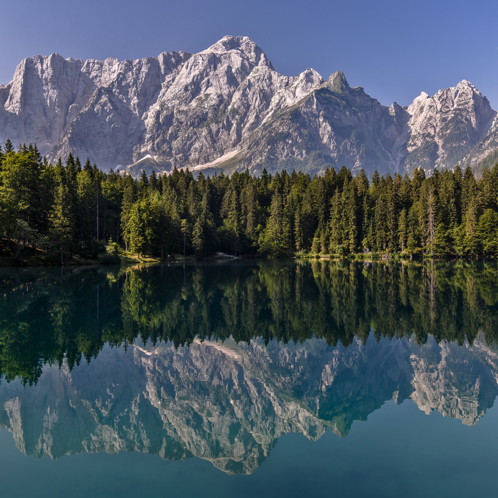 Зеленый хвойный лес и горы отражаются в воде 