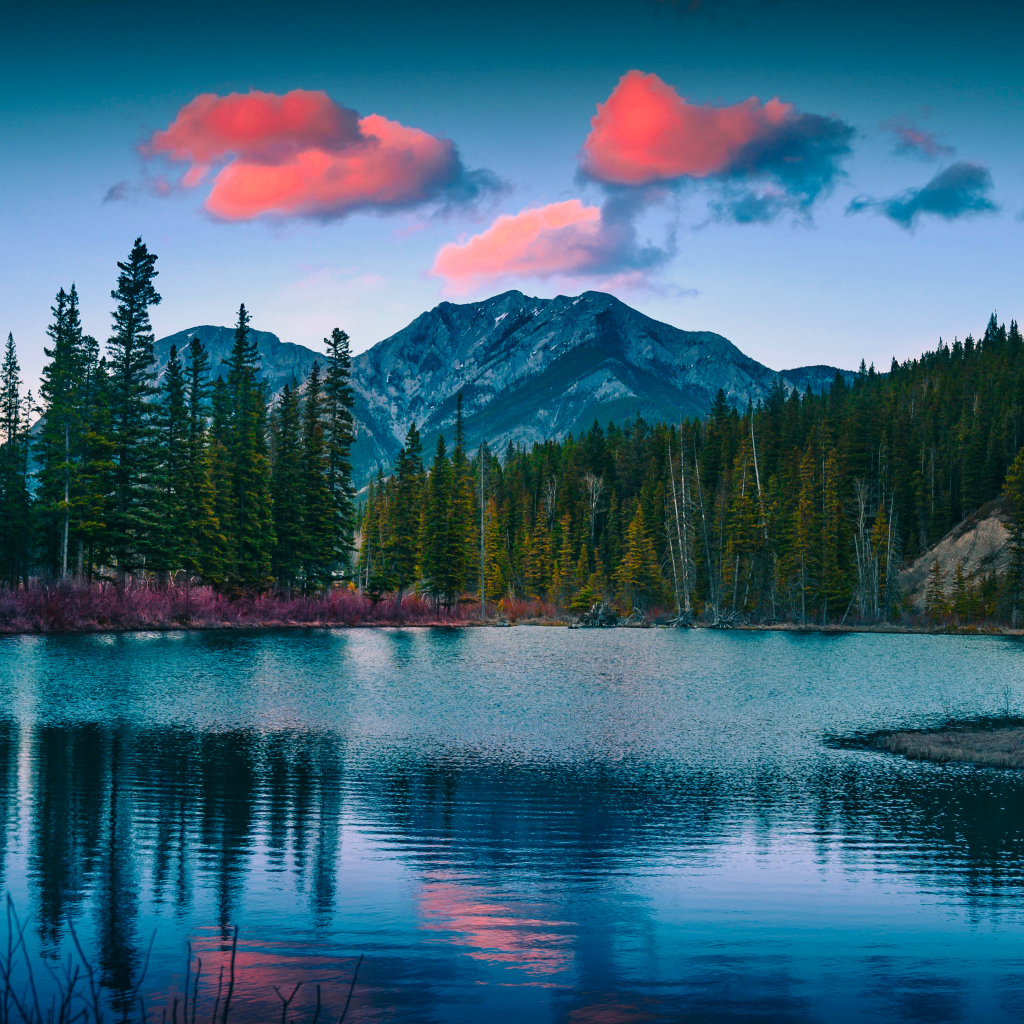 Зеленый лес у озера у подножия гор 