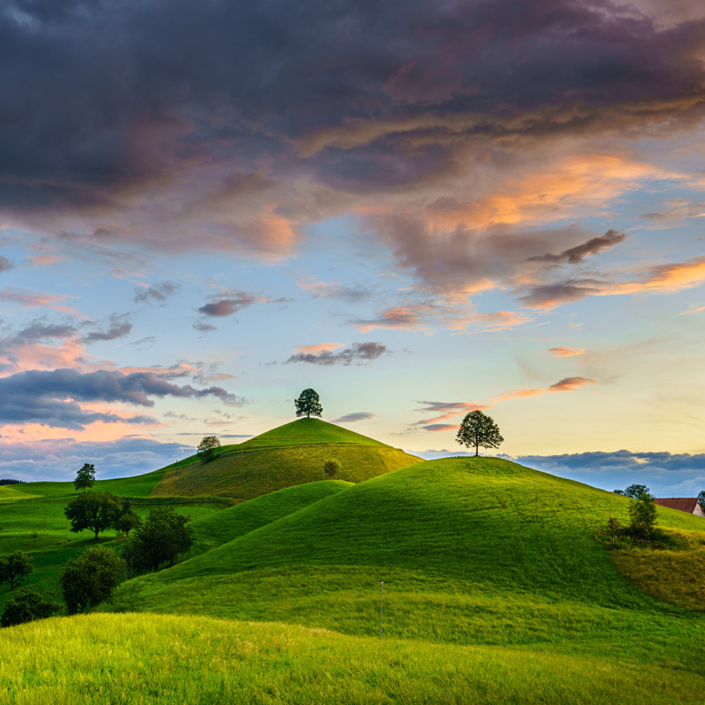 Зеленые холмы с деревьями под небом с грозовыми облаками
