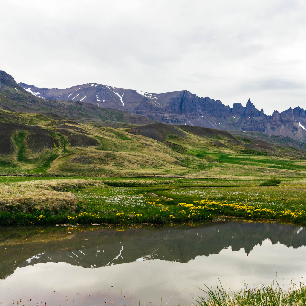 Озеро у холмов с зеленой травой в горах