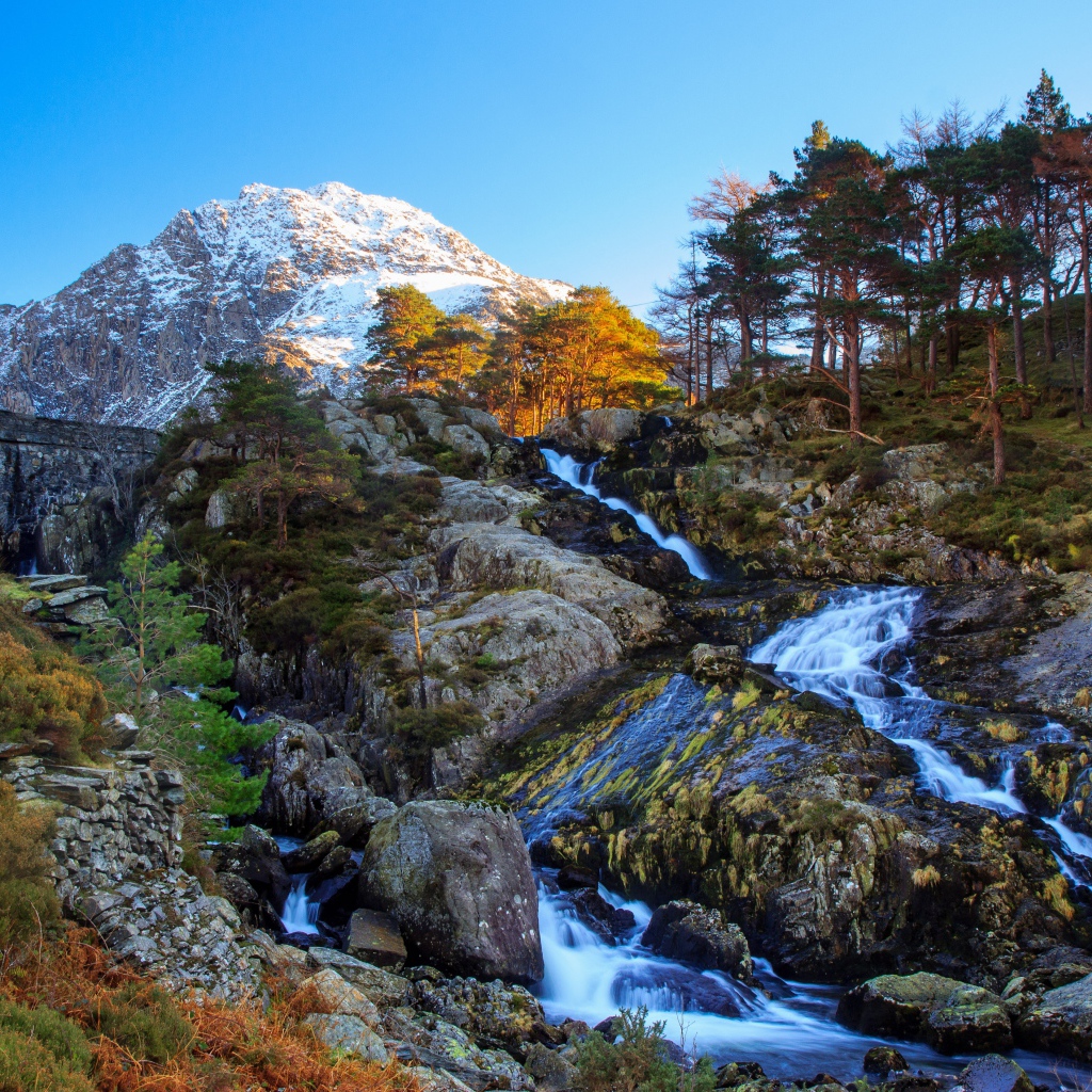 Горный ручей стекает по камням у хвойного леса