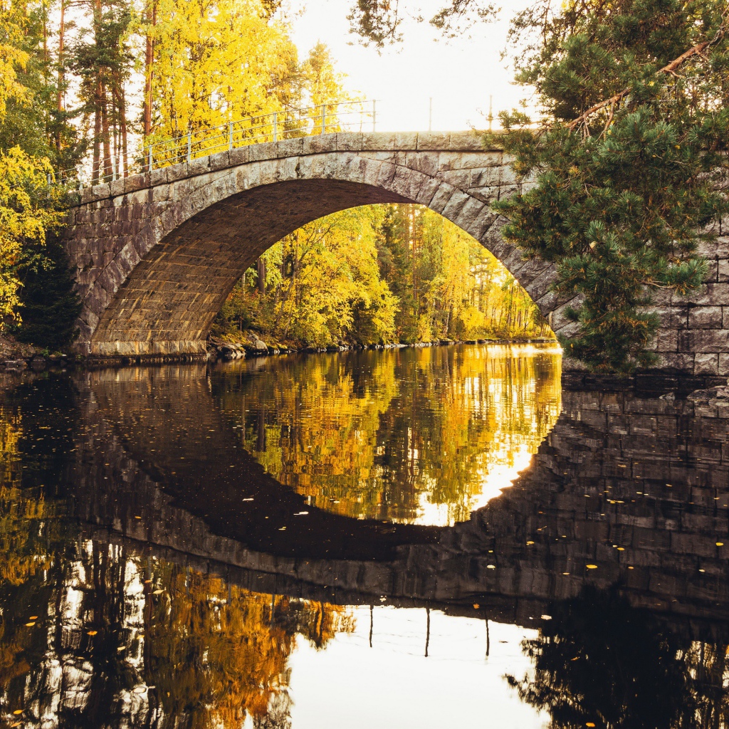 Old stone bridge over the river in the forest