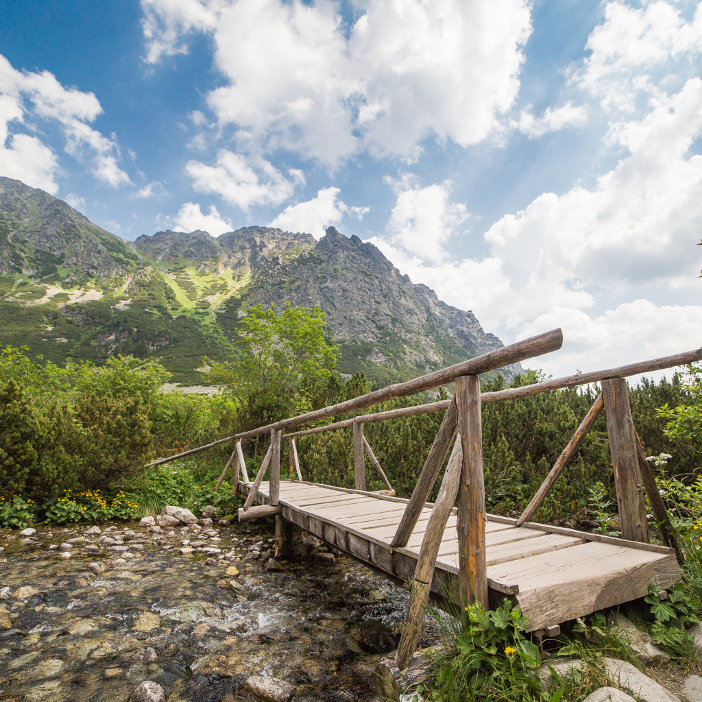Старый деревянный мост через речку на фоне гор