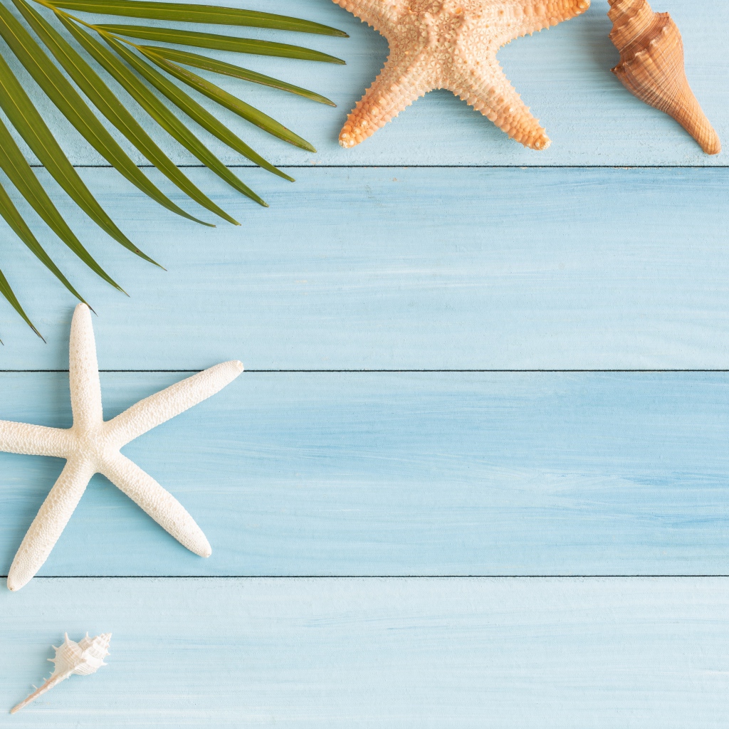 Пальмовый лист на столе с ракушками и морскими звездами 