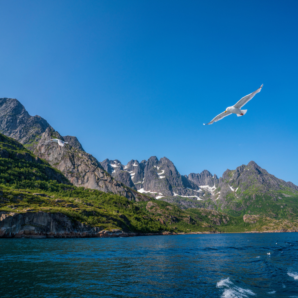 Живописные Лофотенские острова под голубым небом