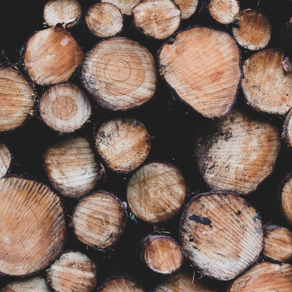 Заготовка дров к суровой зиме