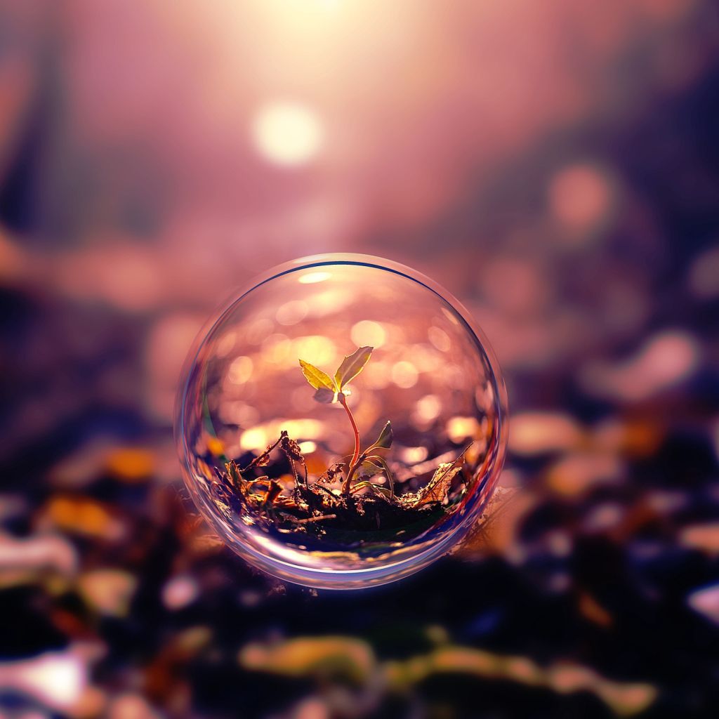 Росток пробивается в стеклянном шаре 