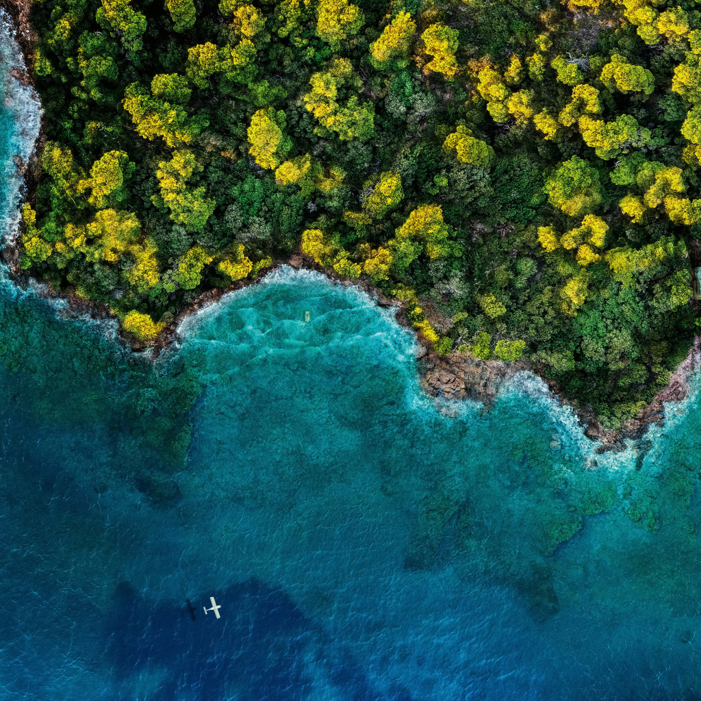 Вид сверху на голубой океан и зеленый лес, Исландия